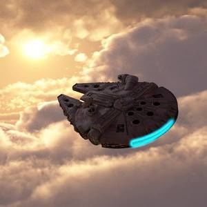 Meet your Posher, Janet